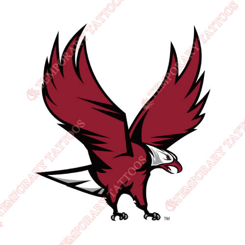 NCCU Eagles Customize Temporary Tattoos Stickers NO.5370